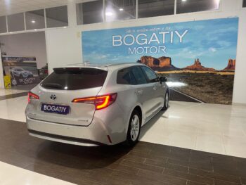 W 0182lrt corollats (28)